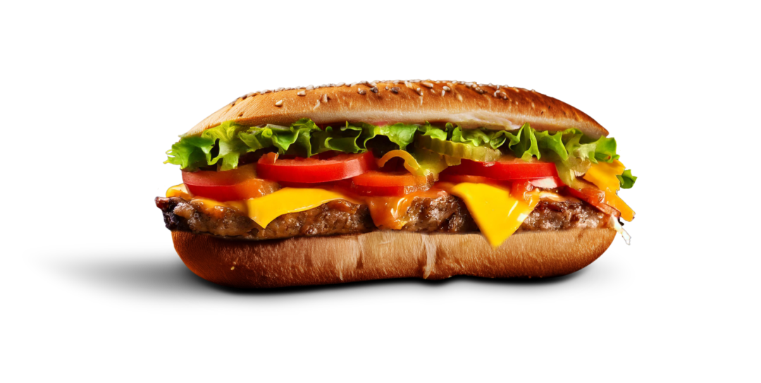 Burger Sub